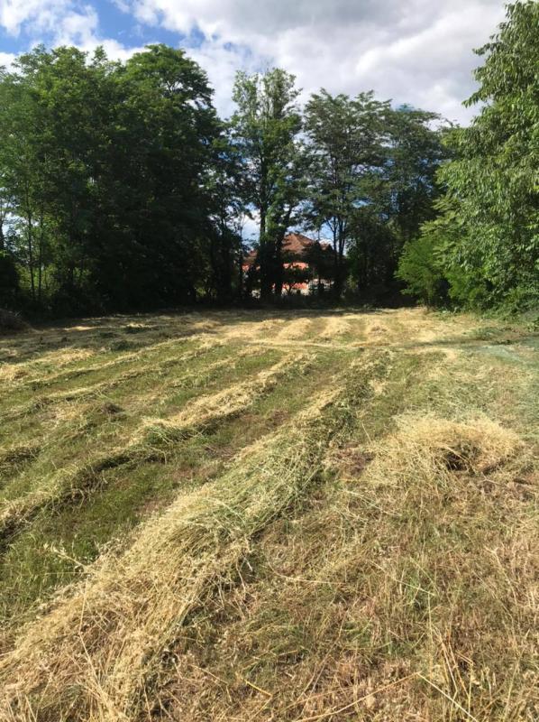 Land plot in Golubovci, 1019 m²