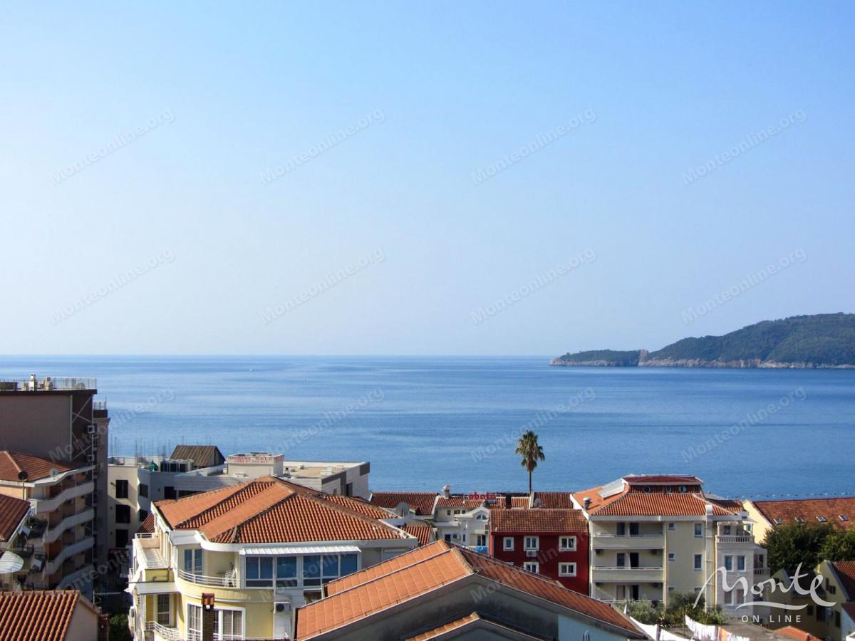 Studio u Rafailovićima s pogledom na more, 150 metara od plaže