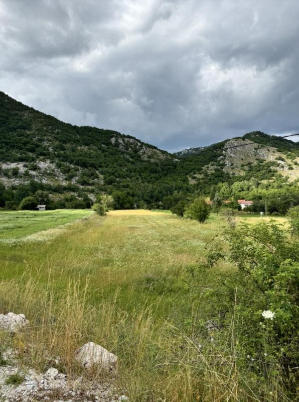 Land plot in Niksic, 7000 m²