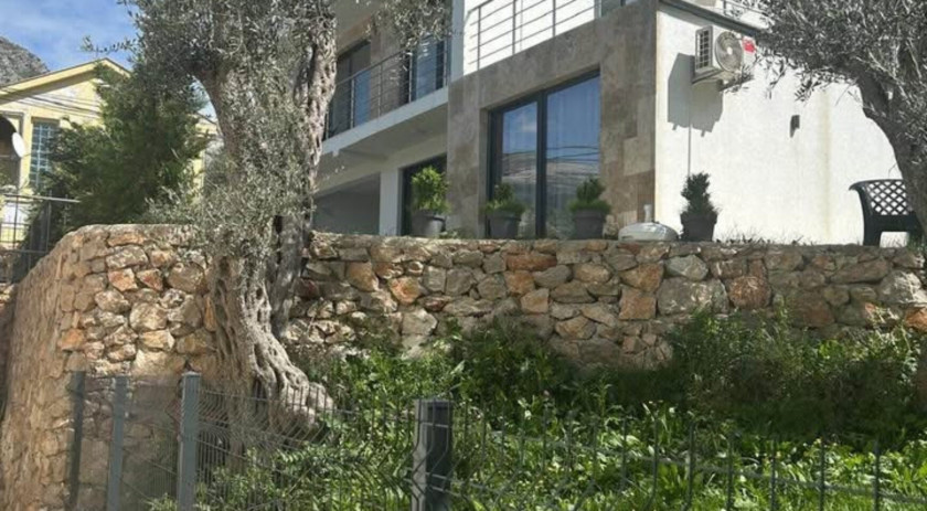 A new house in the middle of an olive grove, Bar