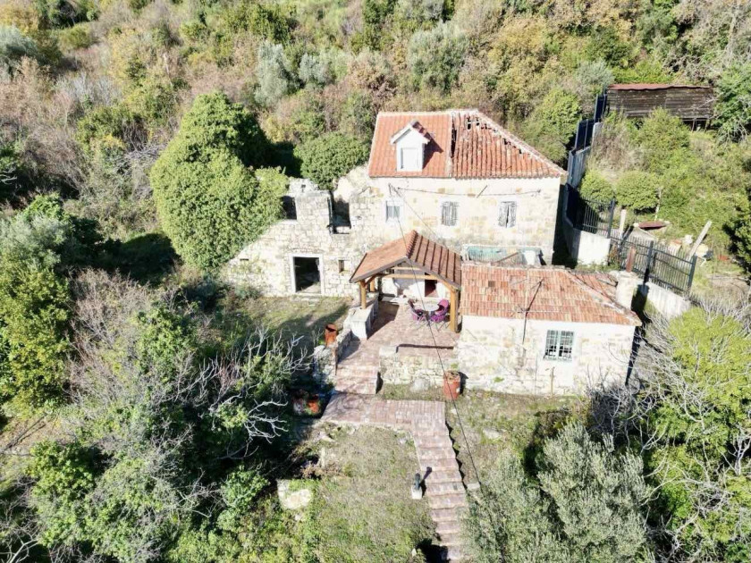 House For Sale, Bijela