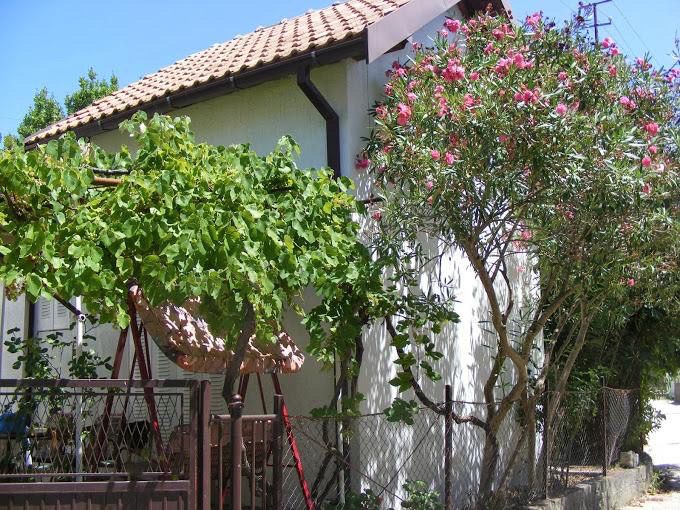 House For Sale, Šušanj