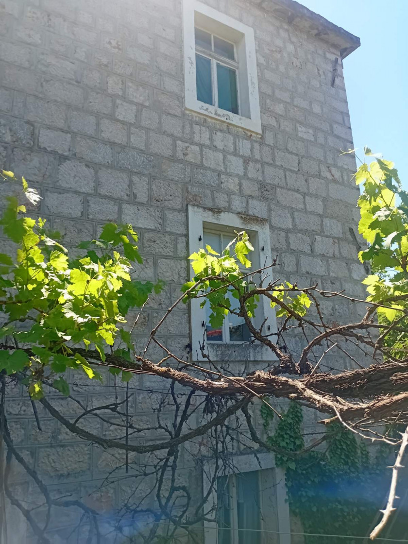 Prodajem Kuću, Tomba