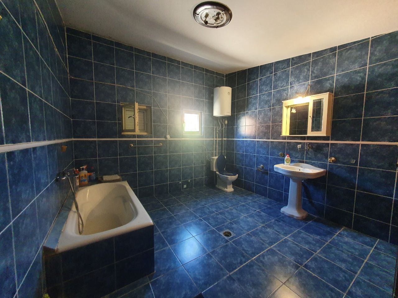 House in Susanj, 239 m²