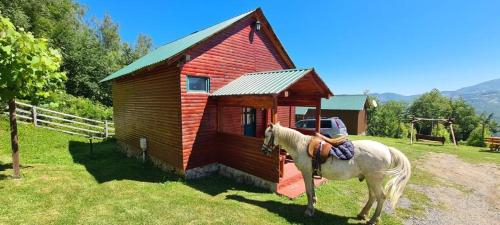 Apartment ID: 4567 Studio Log Cabin Coric 1 - Mojkovac - Podbisce