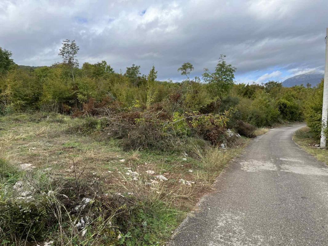 Land plot in Danilovgrad, 19808 m²