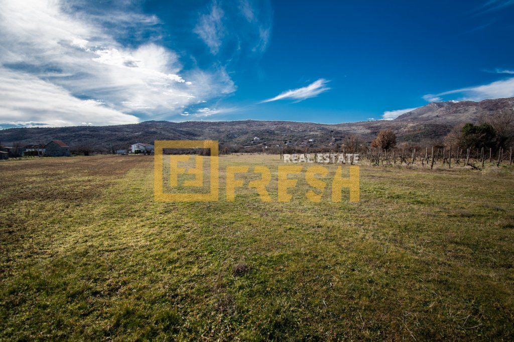 Plot, 1310m2, Beri, For sale