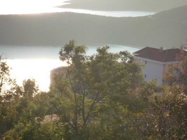 House For Sale, Seoca