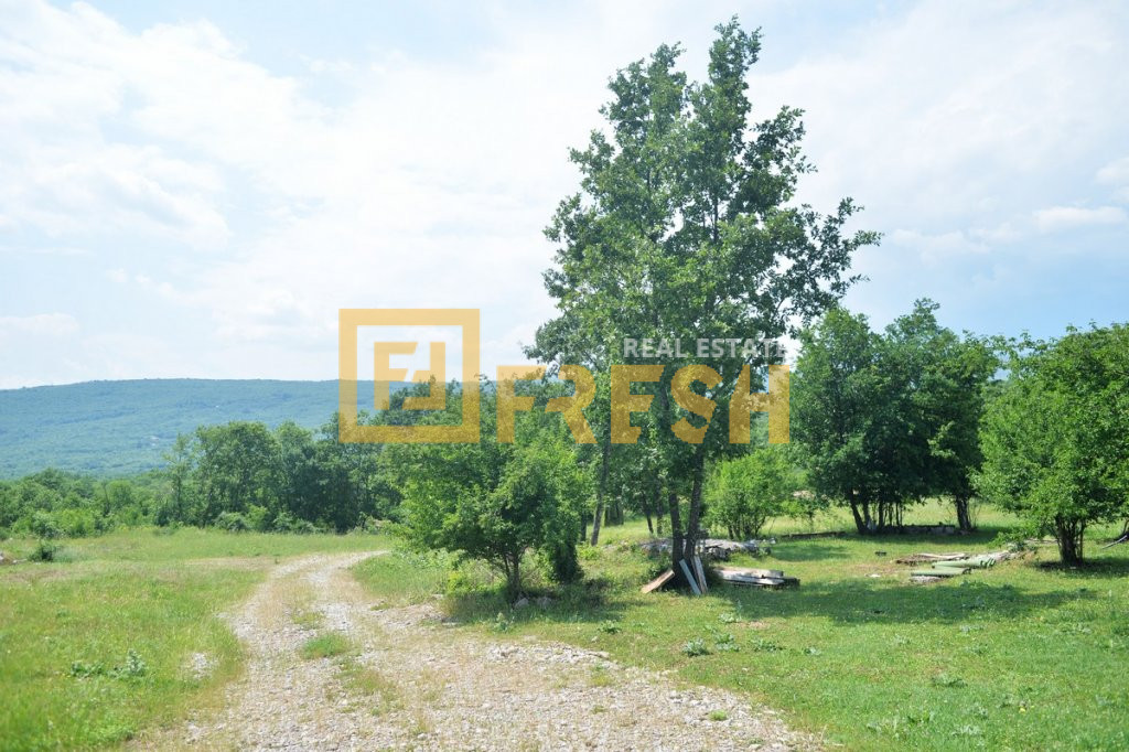 Plot, 33.000m2, Donji Zagarač-Danilovgrad, For sale