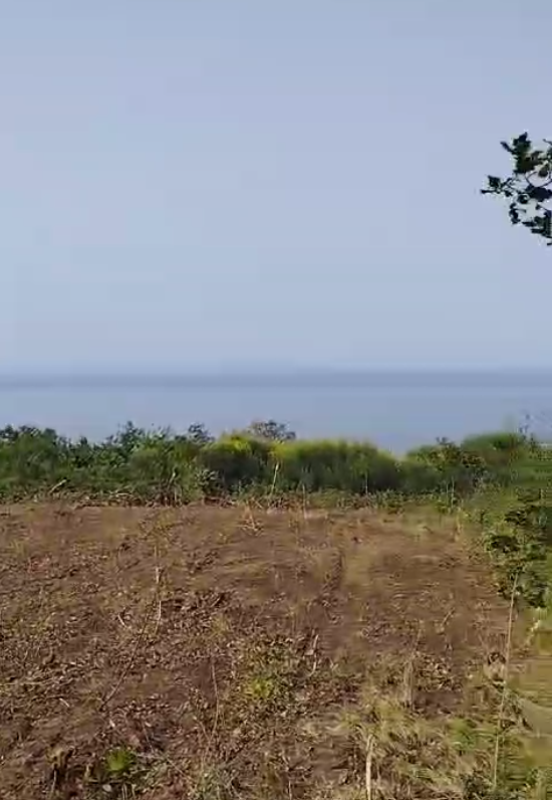 Land plot in Dobra Voda, 708 m²