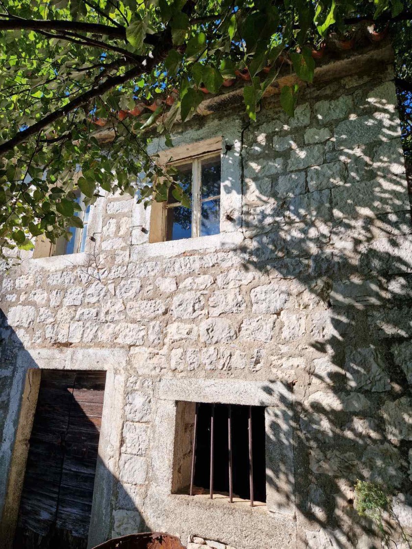 House For Sale, Čanj