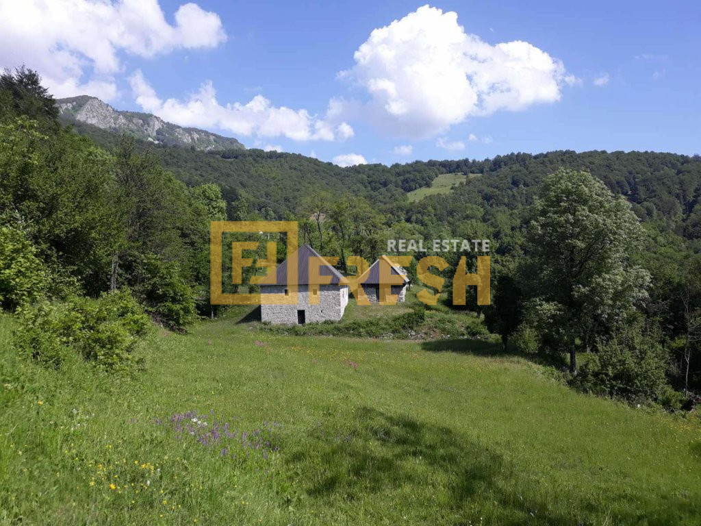 Family property, 74000m2, Kolašin, For sale