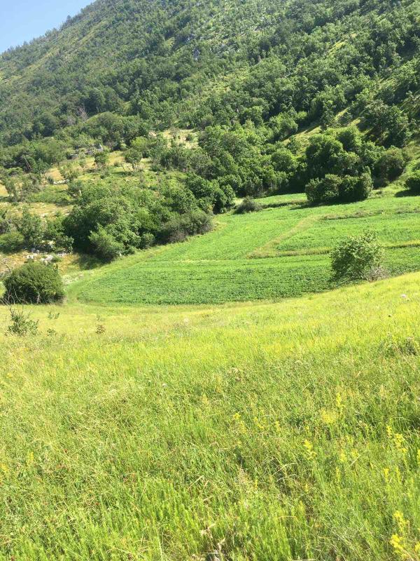 Land plot in Danilovgrad, 102000 m²