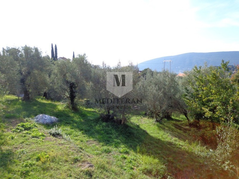 Prodajem Građevinsko Zemljište, Podi