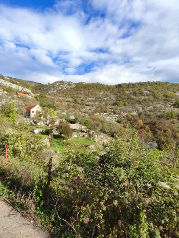 Land plot in Cetine, 26000 m²