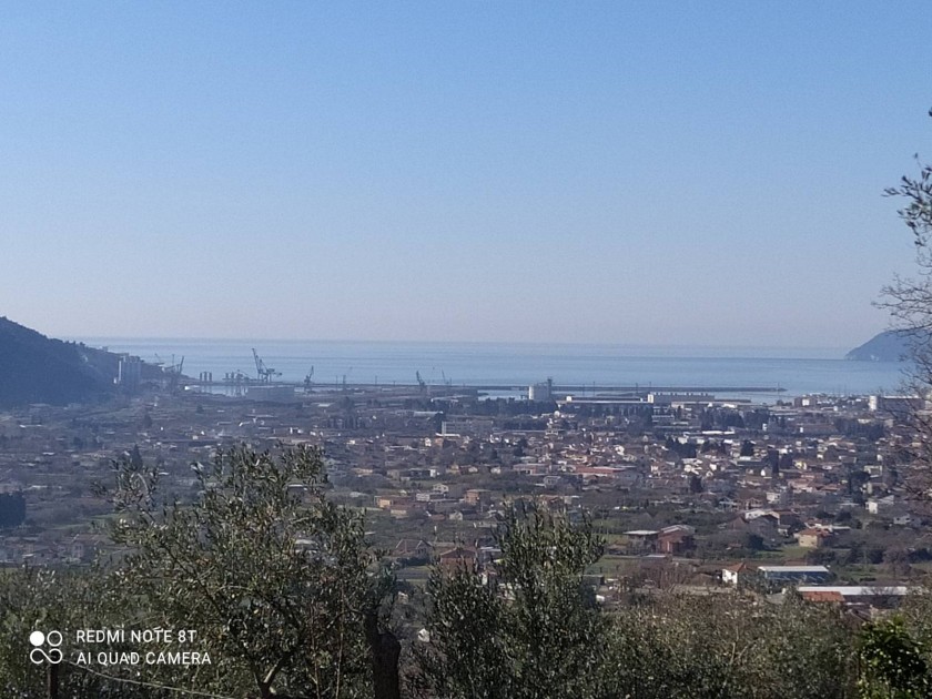 Land For Sale, Tomba