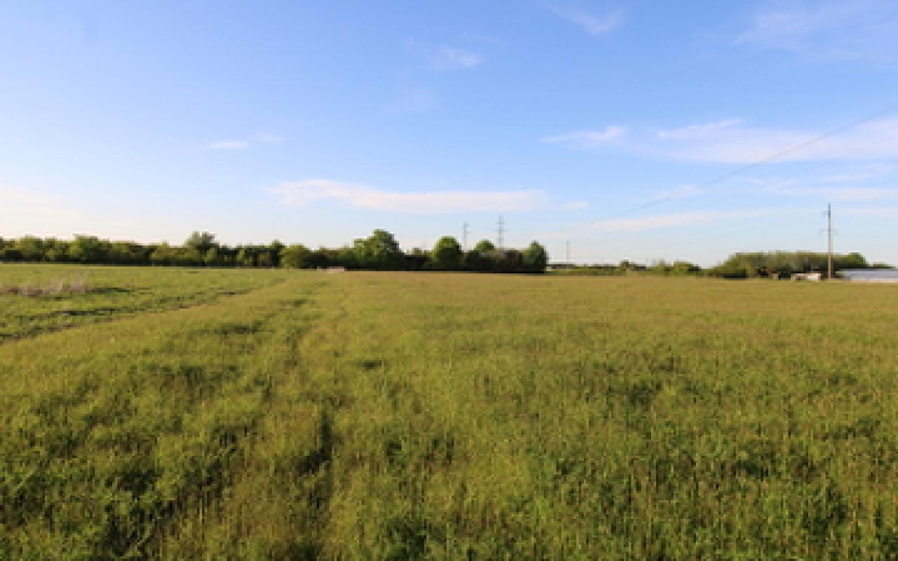 Land plot in Danilovgrad, 8000 m²