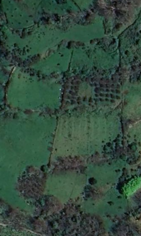 Land plot in Zelevo, 6695 m²