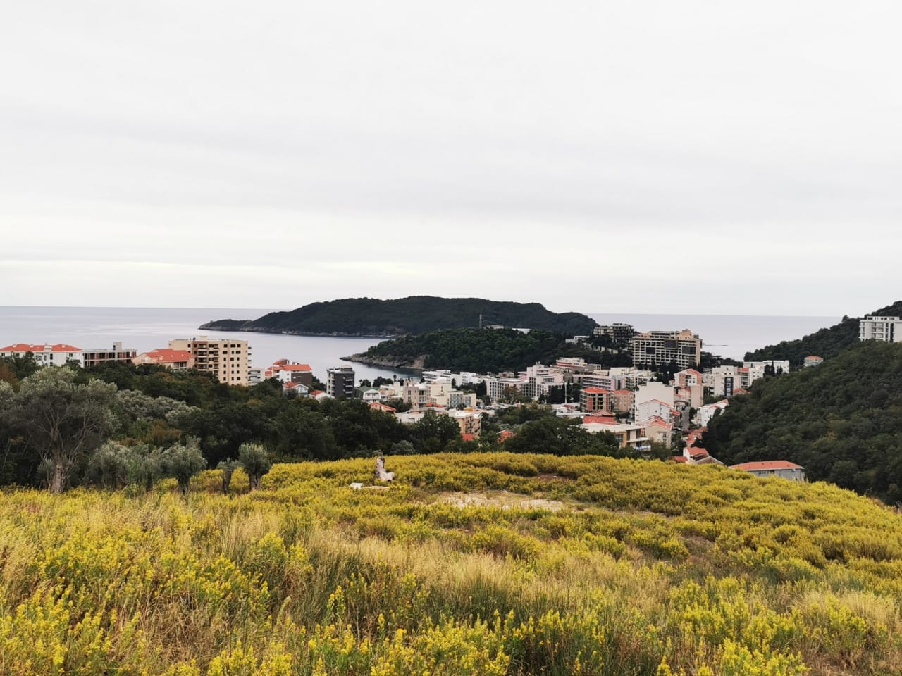 Land For Sale, Budva, €2.280.000