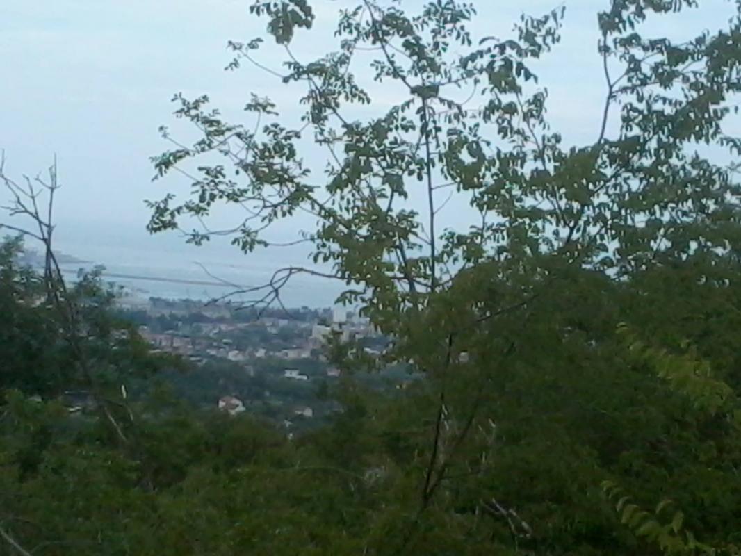 Land plot in Zupci, 20752 m²