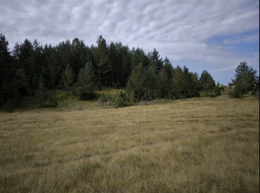 Prodajem Zemljište, Borje