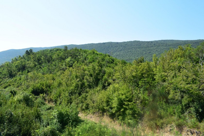 Land For Sale, Grbalj