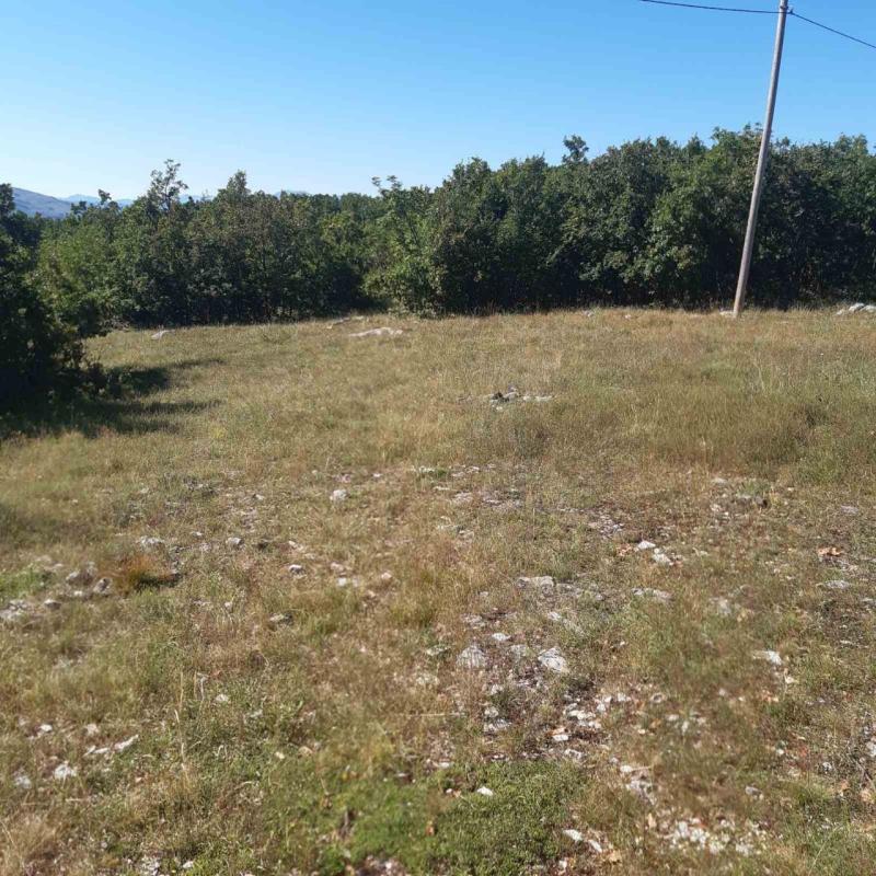 Land plot in Niksic, 36000 m²