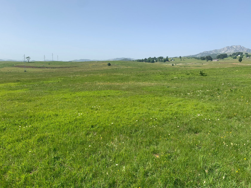 Land For Sale, Žabljak