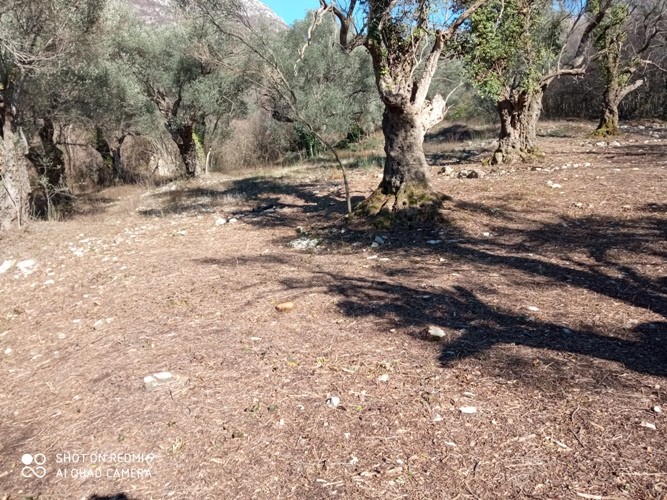 Residential Lot For Sale, Dobre Vode