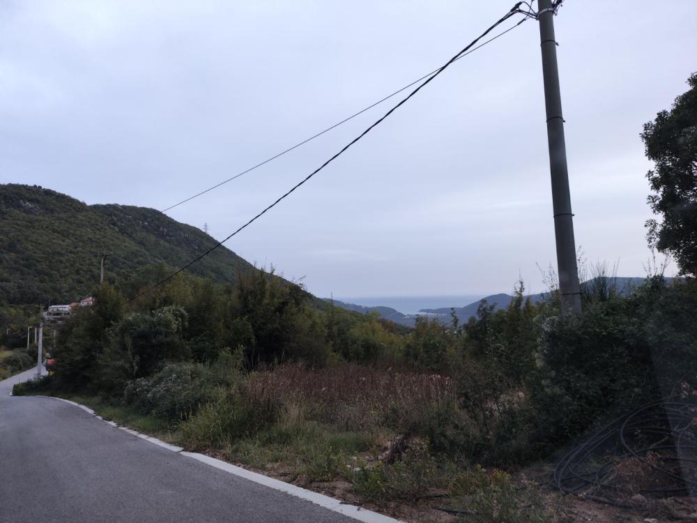 Land For Sale, Gorovici