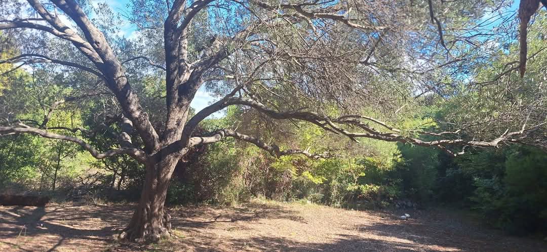 Land For Sale, Utjeha