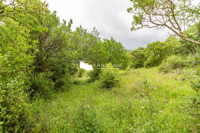 Prodajem Zemljište, Zelenika, Herceg Novi