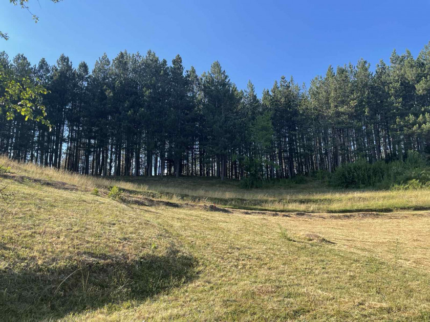 Residential Lot For Sale, Kolašin