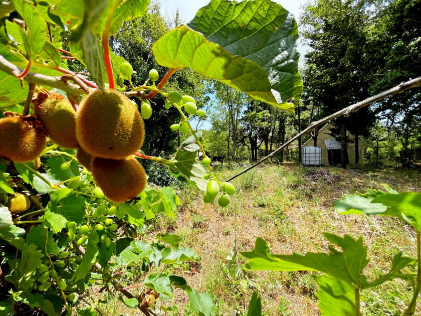 Prodajem Građevinsko Zemljište, Sutomore