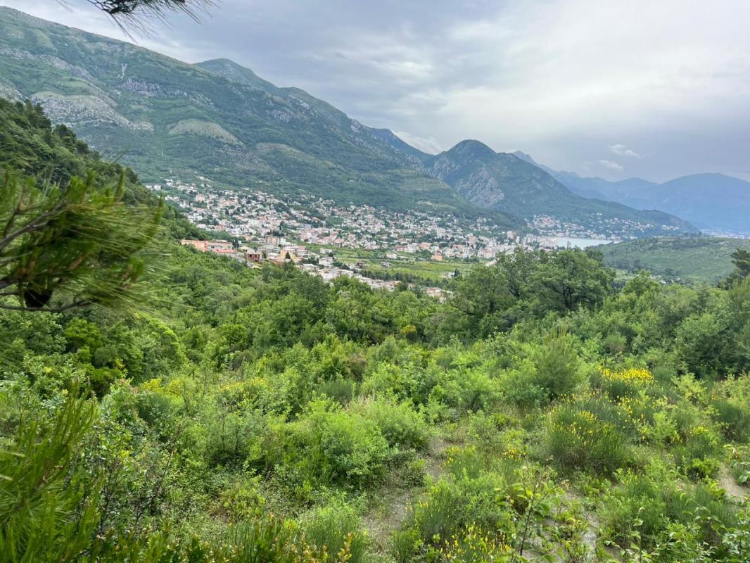 Land plot in Zagradzhe , 1690 m²