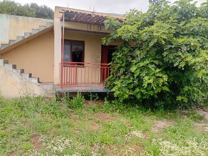 Prodajem Stan-Apartman, Tomba