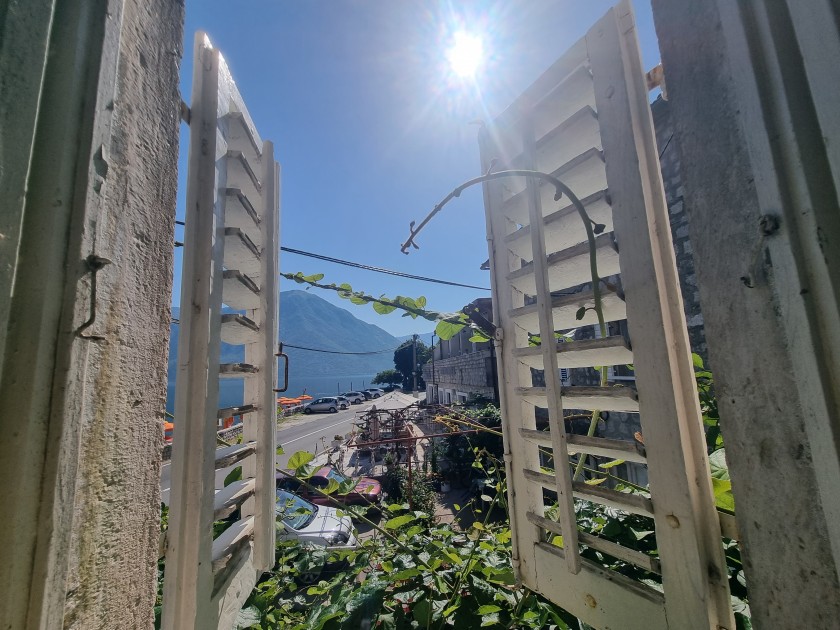 House For Sale, Kostanjica