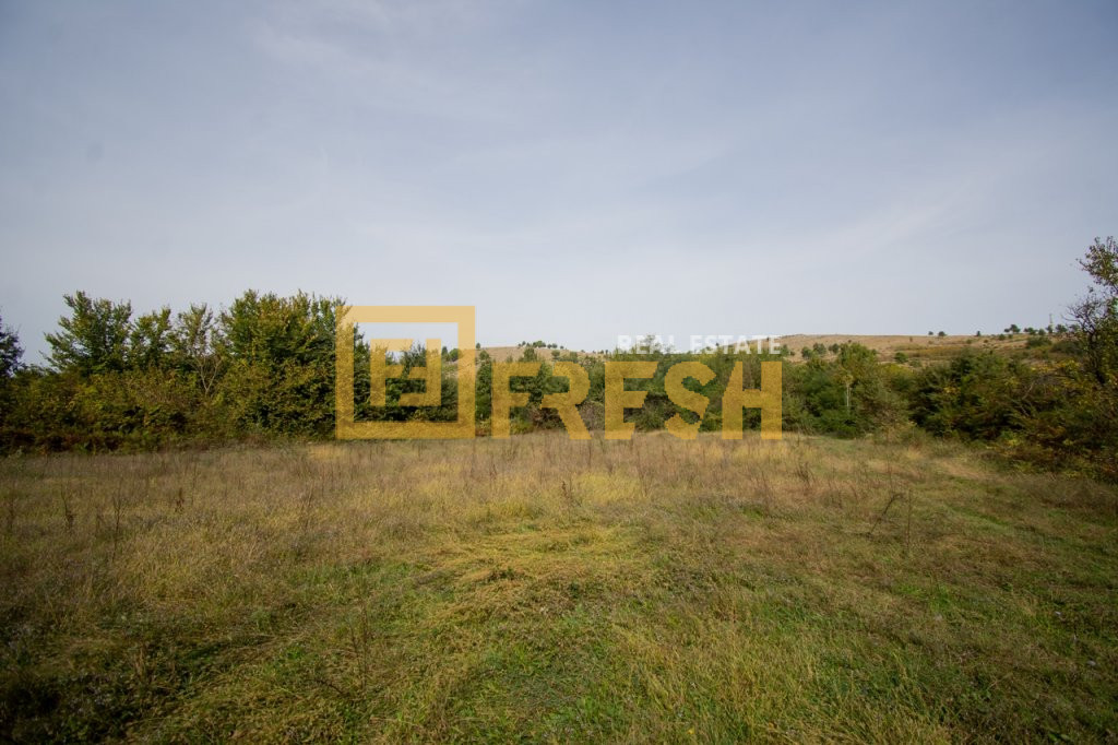 Plac, 2750m2, Dajbabe, Prodaja